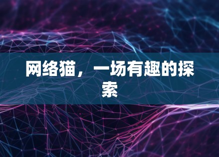 网络猫，一场有趣的探索