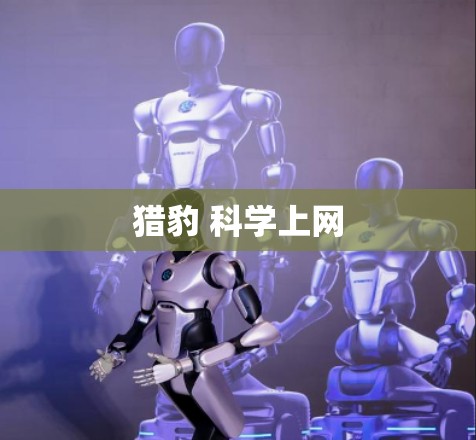 猎豹 科学上网