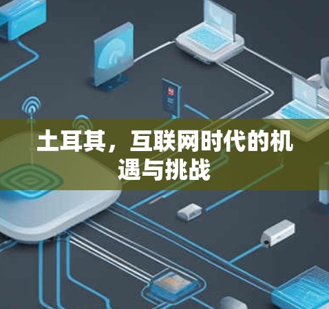 土耳其，互联网时代的机遇与挑战
