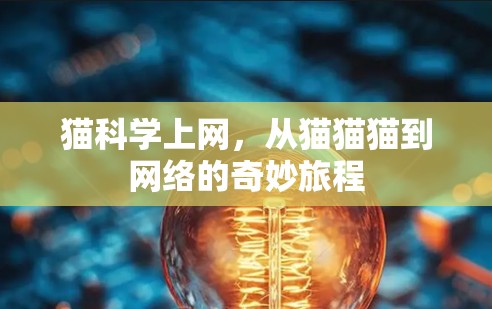 猫科学上网，从猫猫猫到网络的奇妙旅程
