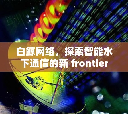 白鲸网络，探索智能水下通信的新 frontier