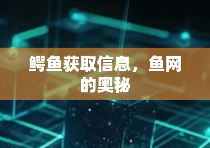 鳄鱼获取信息，鱼网的奥秘