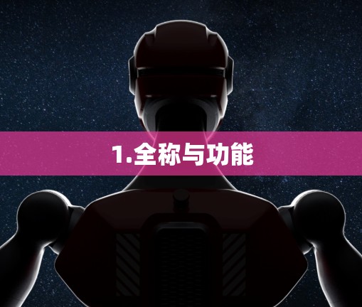 1.全称与功能