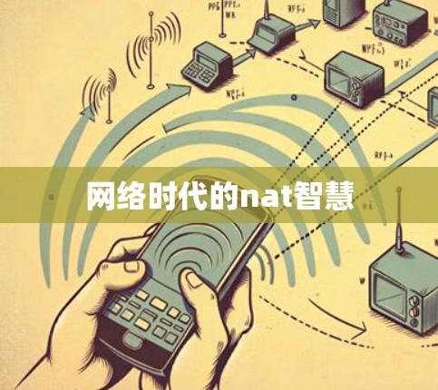 网络时代的nat智慧