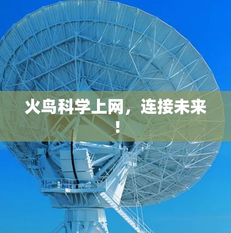 火鸟科学上网，连接未来！