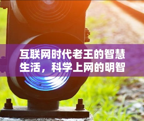 互联网时代老王的智慧生活，科学上网的明智选择