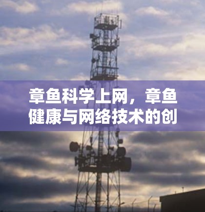 章鱼科学上网，章鱼健康与网络技术的创新