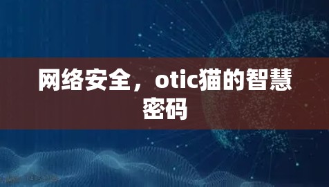 网络安全，otic猫的智慧密码