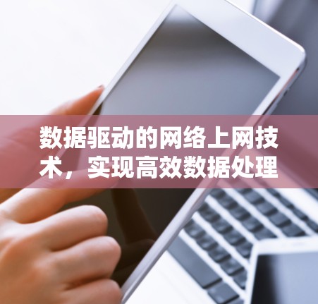 数据驱动的网络上网技术，实现高效数据处理与便捷用户体验