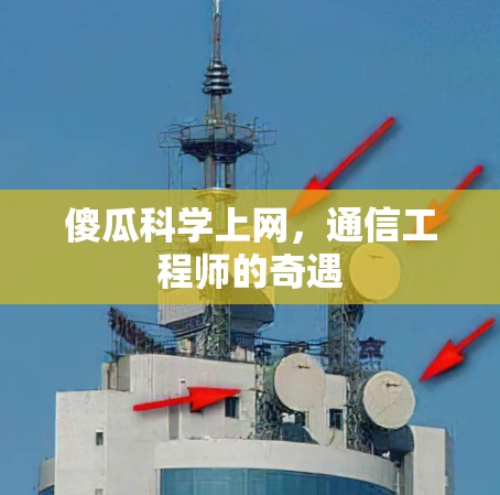傻瓜科学上网，通信工程师的奇遇