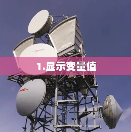 1.显示变量值