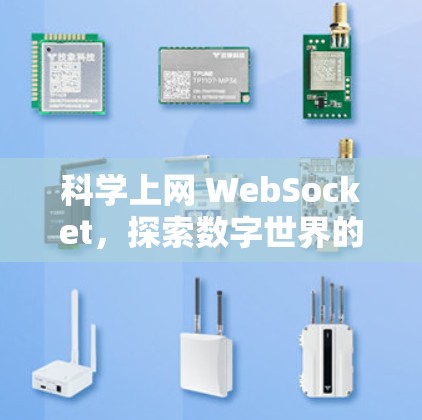 科学上网 WebSocket，探索数字世界的新方式