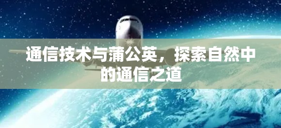 通信技术与蒲公英，探索自然中的通信之道