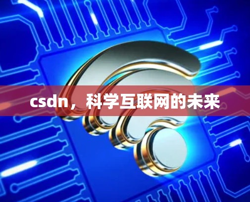 csdn，科学互联网的未来