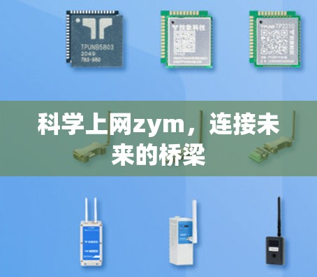 科学上网zym，连接未来的桥梁