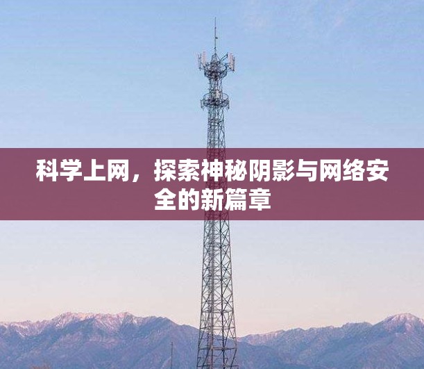科学上网，探索神秘阴影与网络安全的新篇章