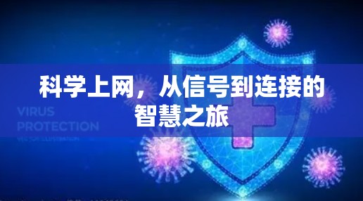 科学上网，从信号到连接的智慧之旅