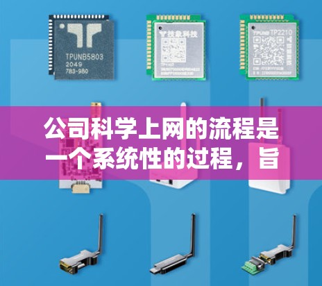 公司科学上网的流程是一个系统性的过程，旨在确保员工能够安全、高效地使用公司网络。以下是一个详细的步骤指南，帮助您理解并实施科学上网流程