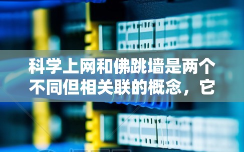 科学上网和佛跳墙是两个不同但相关联的概念，它们在获取知识和资源方面各自有不同的方法和意义。以下是对这两个概念的详细分析