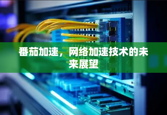 番茄加速，网络加速技术的未来展望