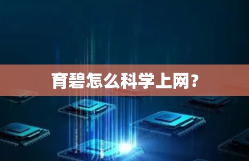 育碧怎么科学上网？