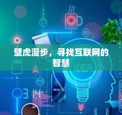 壁虎漫步，寻找互联网的智慧