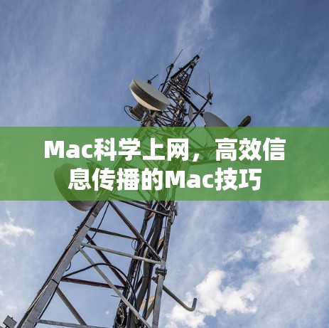 Mac科学上网，高效信息传播的Mac技巧