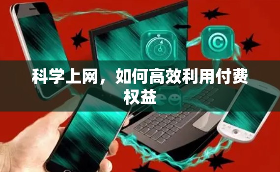 科学上网，如何高效利用付费权益