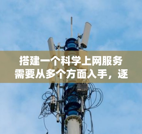 搭建一个科学上网服务需要从多个方面入手，逐步构建一个全面且高效的网络环境。以下是一个清晰的指南，帮助您系统地搭建科学上网服务
