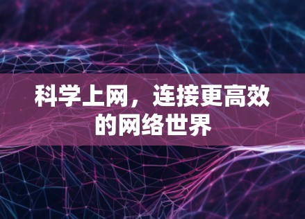 科学上网，连接更高效的网络世界