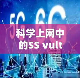 科学上网中的SS vultr协议是一种非对称加密的协议，主要用于安全端对端通信。以下是对其的详细分析和总结