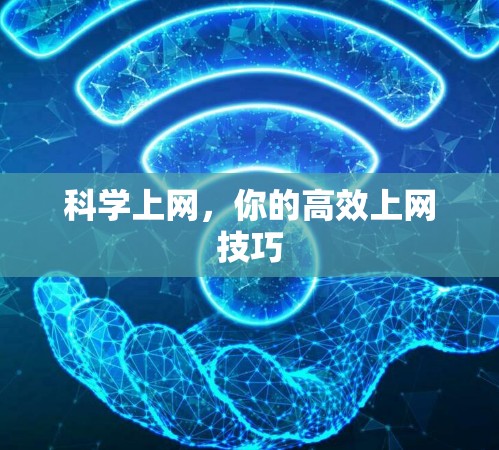 科学上网，你的高效上网技巧