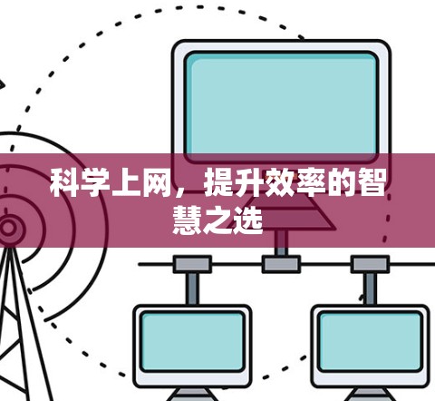 科学上网，提升效率的智慧之选