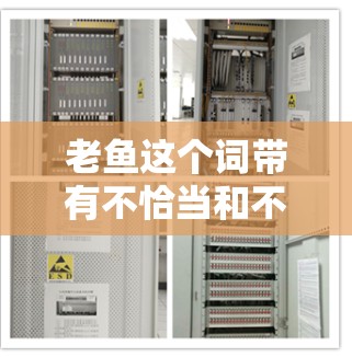 老鱼这个词带有不恰当和不道德的意思，可能在某些情况下用来形容某些行为或言论。在讨论上网问题时，我们更应该关注的是使用科学和安全的上网方式，而不是使用老鱼这种不恰当的标签