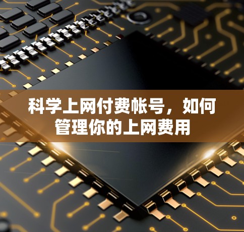 科学上网付费帐号，如何管理你的上网费用