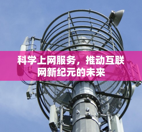 科学上网服务，推动互联网新纪元的未来