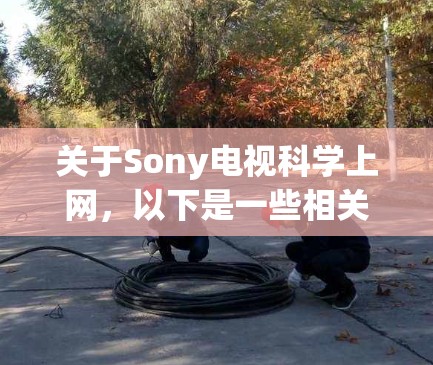 关于Sony电视科学上网，以下是一些相关的信息和解决方案