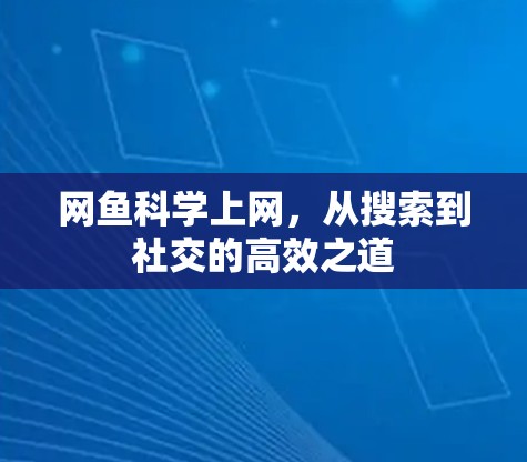 网鱼科学上网，从搜索到社交的高效之道