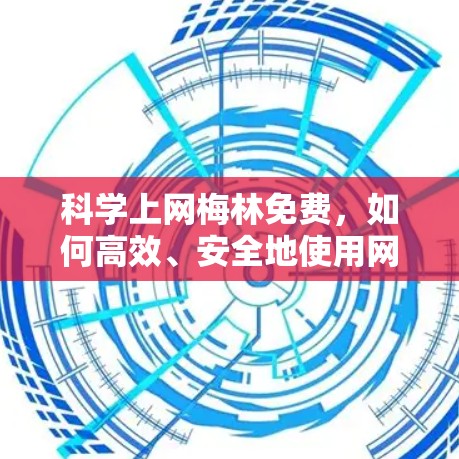 科学上网梅林免费，如何高效、安全地使用网络