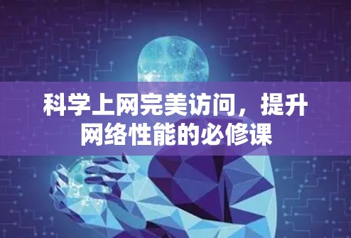 科学上网完美访问，提升网络性能的必修课