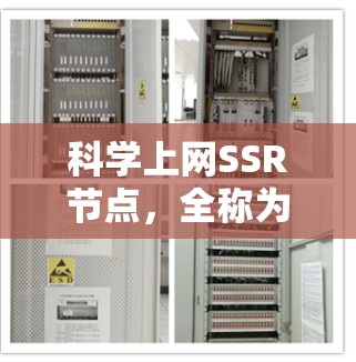 科学上网SSR节点，全称为超级服务器网络，主要用于科学计算和数据处理。以下是关于SSR节点的详细分析