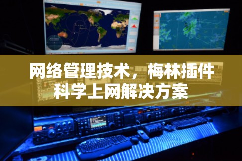 网络管理技术，梅林插件科学上网解决方案