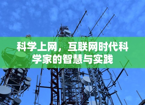科学上网，互联网时代科学家的智慧与实践