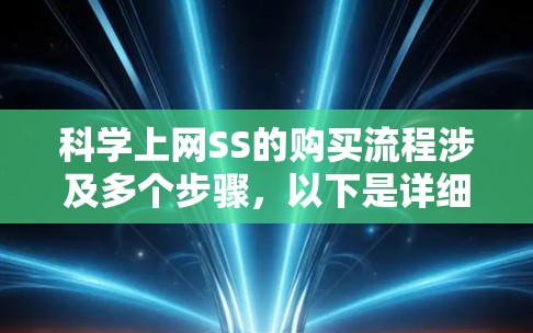 科学上网SS的购买流程涉及多个步骤，以下是详细的步骤说明