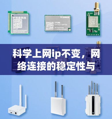 科学上网ip不变，网络连接的稳定性与优化