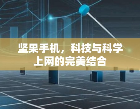 坚果手机，科技与科学上网的完美结合