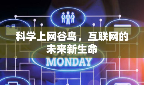 科学上网谷鸟，互联网的未来新生命