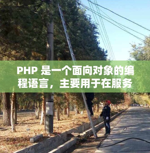 PHP 是一个面向对象的编程语言，主要用于在服务器上运行，如 PHP 服务器。它提供了丰富的内置功能和灵活性，适合在网页上编写应用。以下是对 PHP 的基本使用和常见问题的详细解答