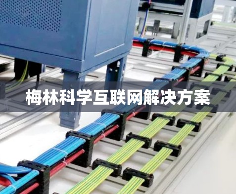 梅林科学互联网解决方案