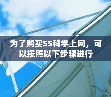 为了购买SS科学上网，可以按照以下步骤进行